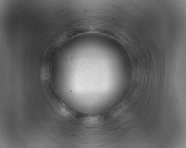 X0000074220236200608251137