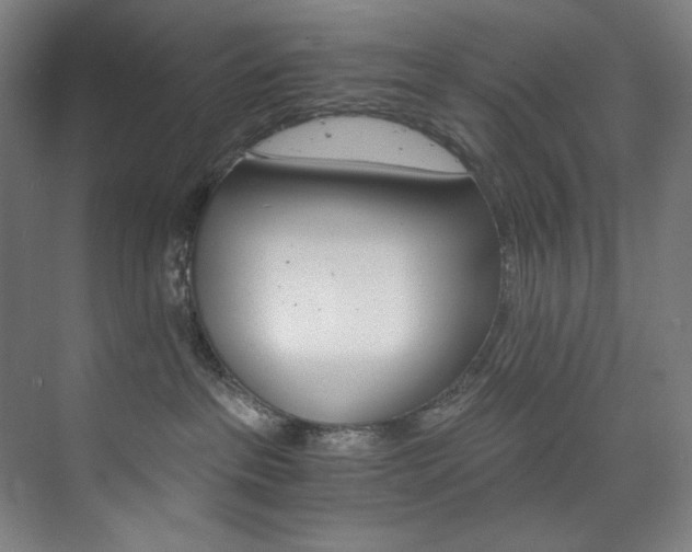 X0000074220237200608251137