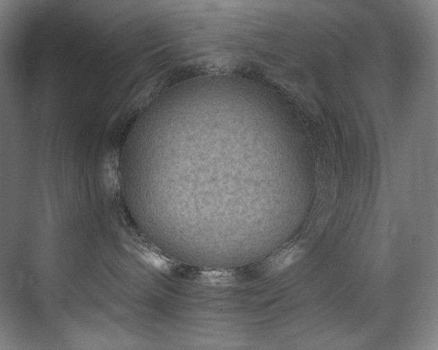 X0000074220240200608251137