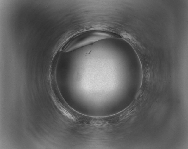 X0000074220242200608251136