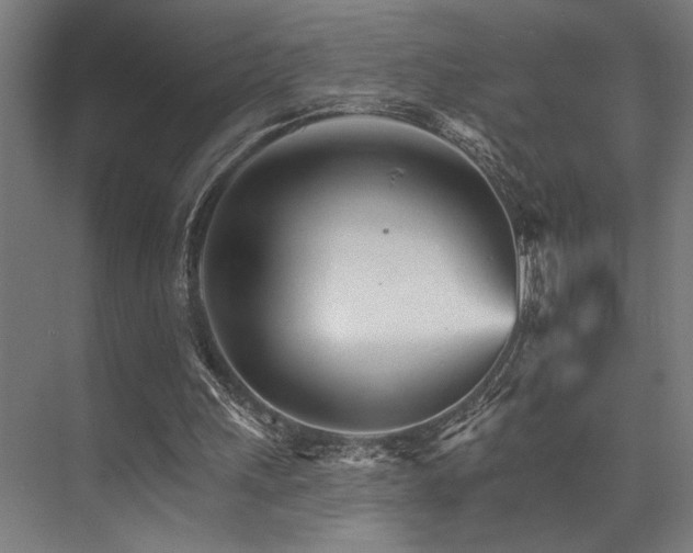 X0000074220243200608251136