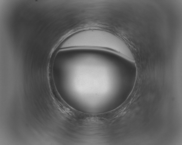 X0000074220244200608251136