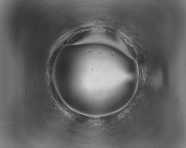 X0000074220245200608251136