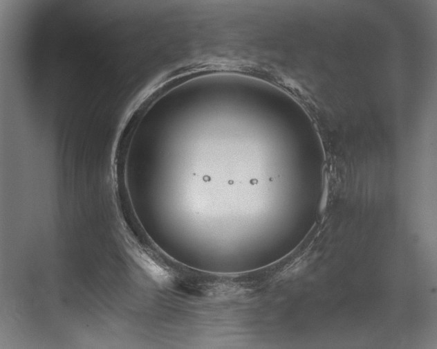 X0000074220246200608251136