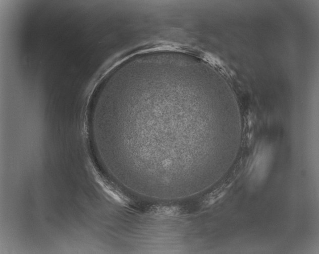 X0000074220247200608251136
