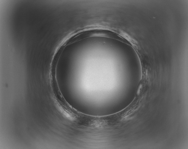 X0000074220248200608251136