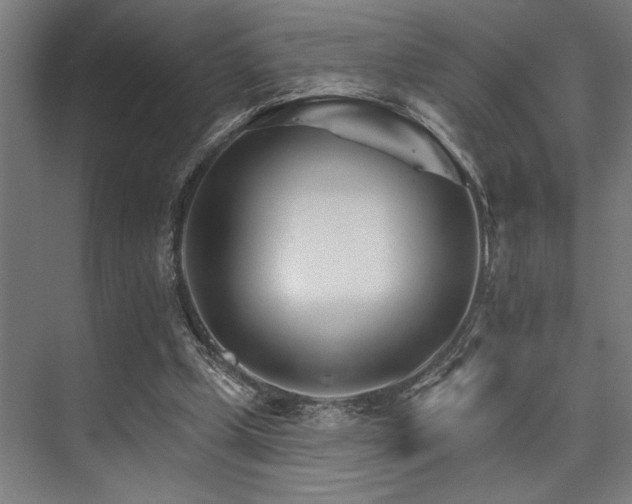 X0000074220249200608251136