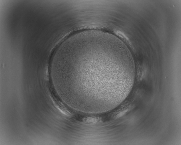 X0000074220251200608251136