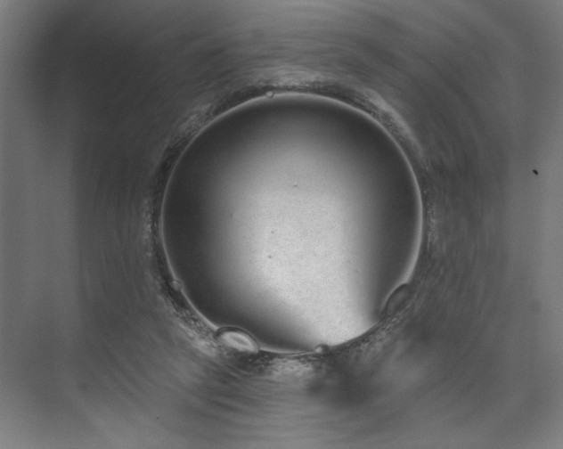 X0000074220257200608251136