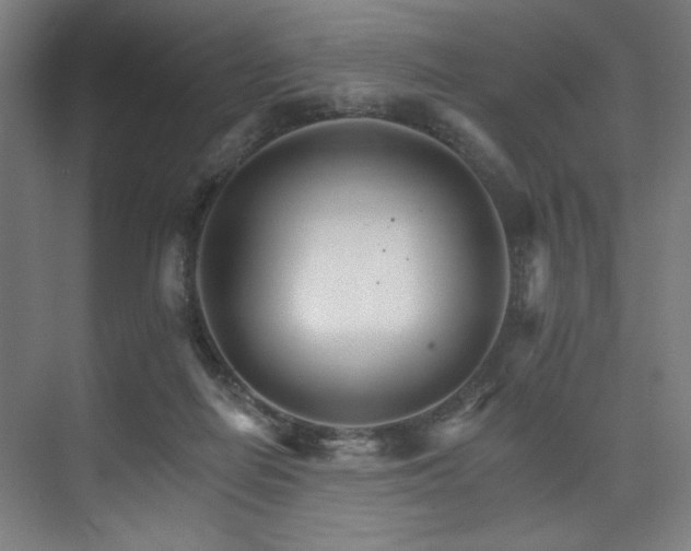 X0000074220266200608251136
