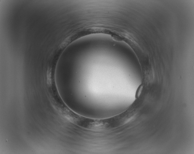 X0000074220267200608251136