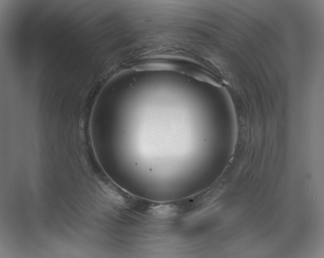 X0000074220269200608251136