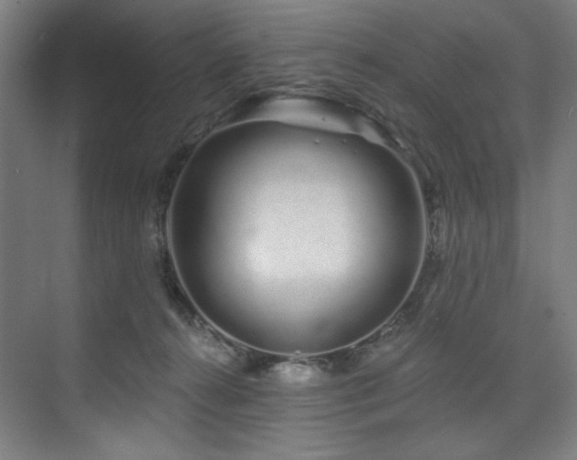 X0000074220272200608251136