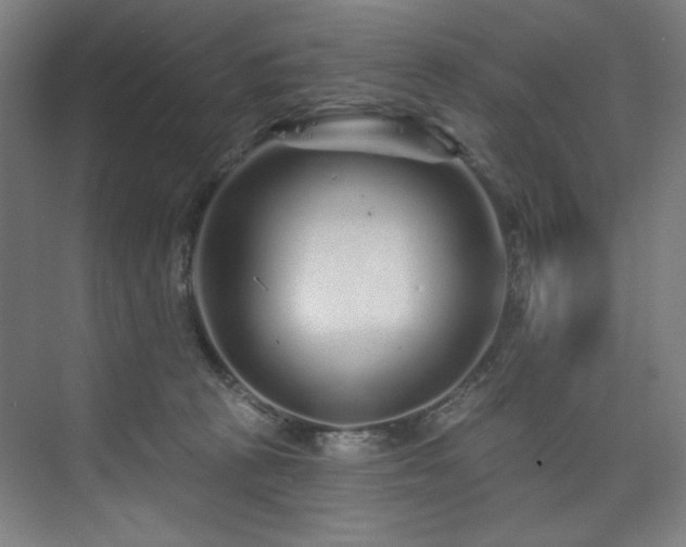 X0000074220273200608251137