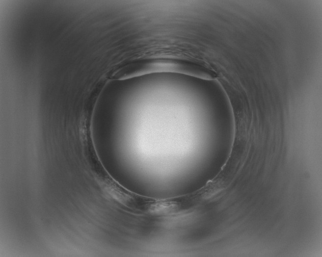 X0000074220274200608251137
