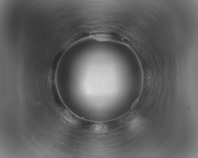 X0000074220275200608251137