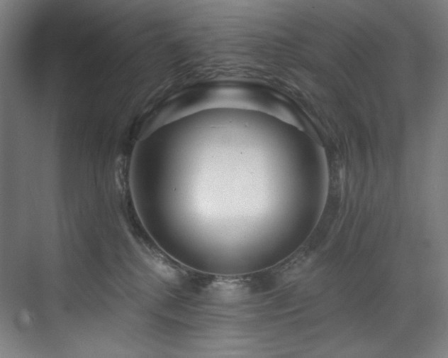 X0000074220280200608251137
