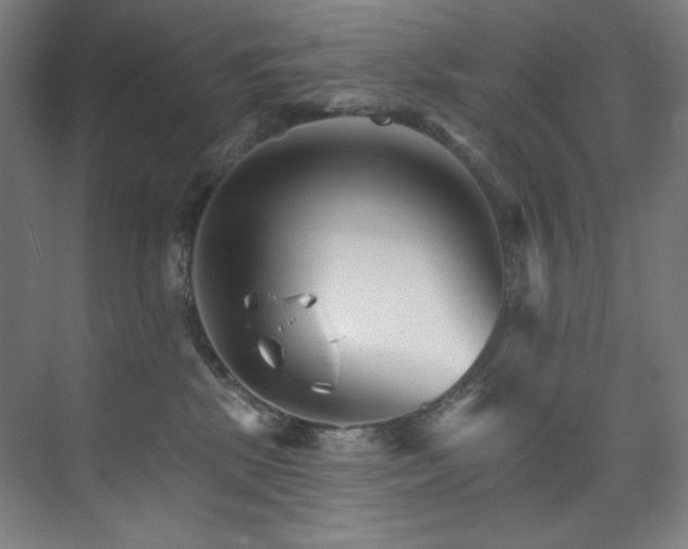 X0000074220281200608251137