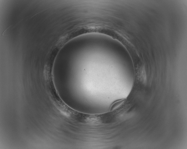 X0000074220283200608251137