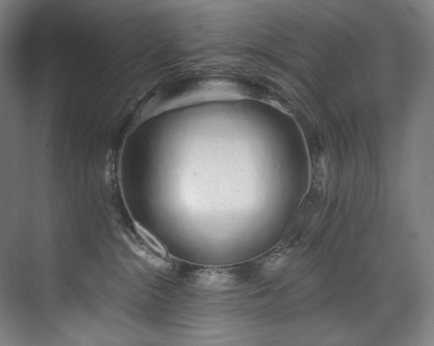 X0000074220284200608251137