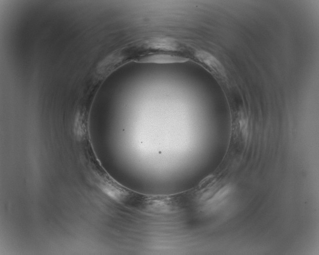 X0000074220285200608251137
