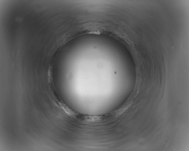 X0000074220288200608251137