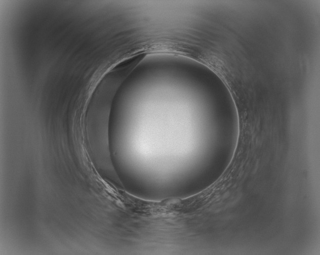 X0000074220289200608251136