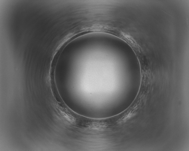 X0000074220292200608251136