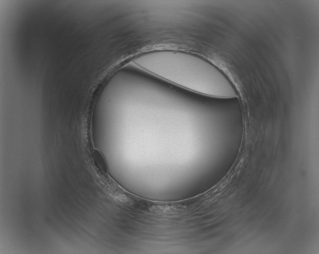 X0000074220297200608251136