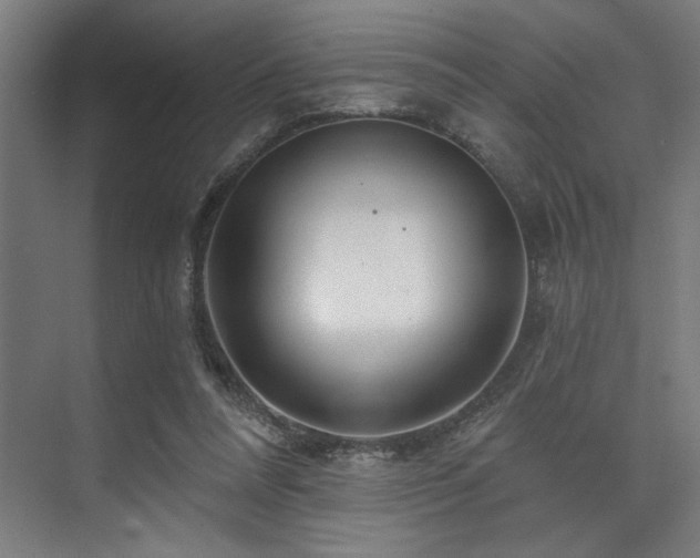 X0000074220304200608251136