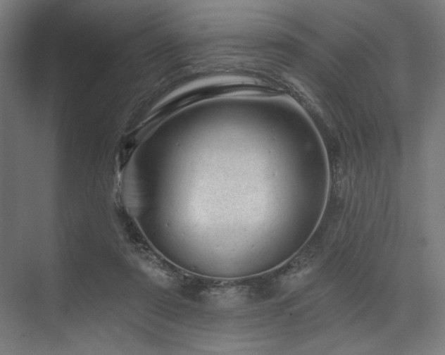 X0000074220307200608251136
