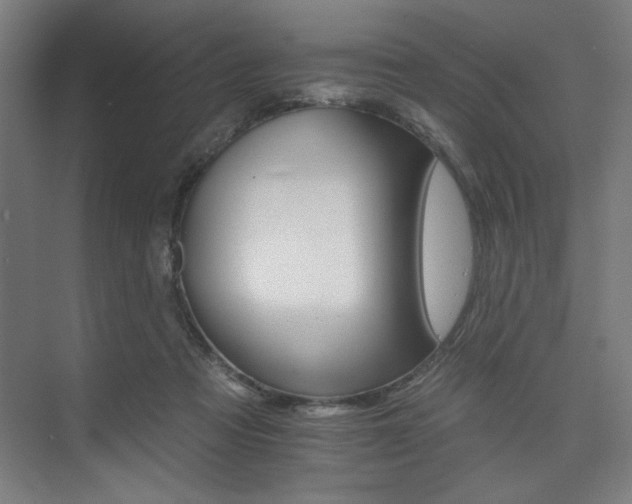 X0000074220313200608251136