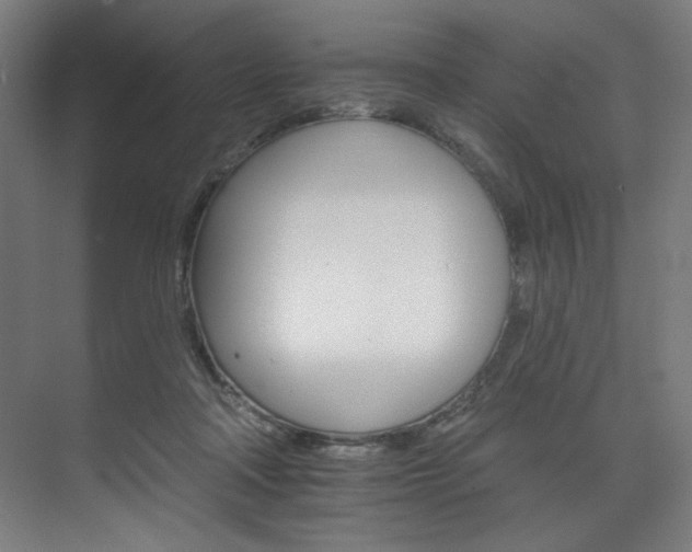 X0000074220314200608251136