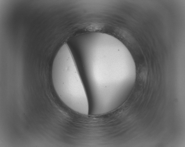 X0000074220315200608251136