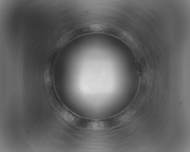 X0000074220317200608251135