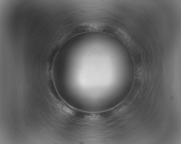 X0000074220318200608251135