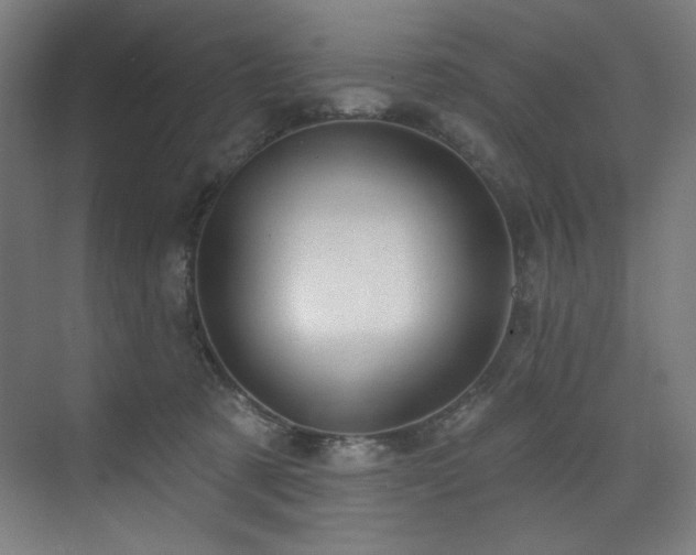 X0000074220321200608251135
