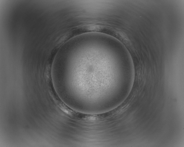 X0000074220325200608251135