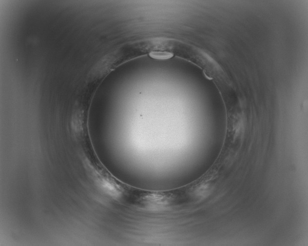 X0000074220326200608251135