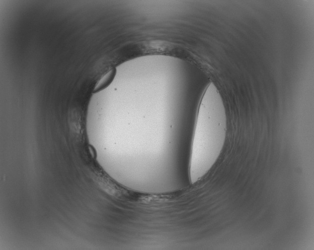 X0000074220331200608251135