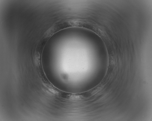 X0000074220332200608251135