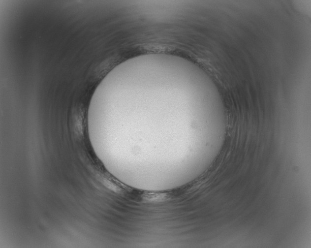 X0000074220334200608251135