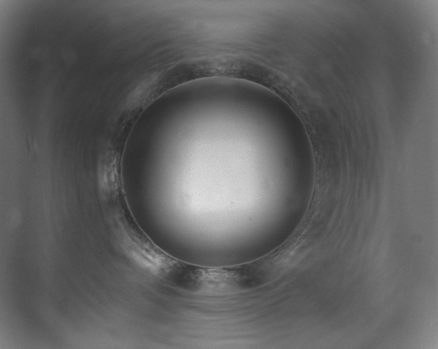 X0000074220336200608251135