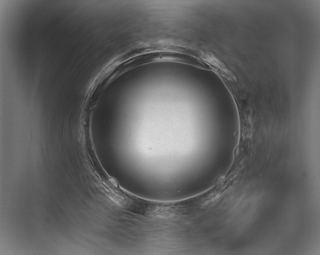 X0000074220341200608251134