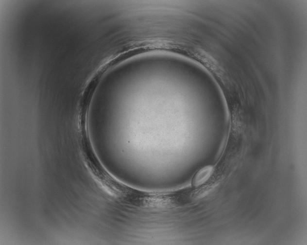 X0000074220347200608251135
