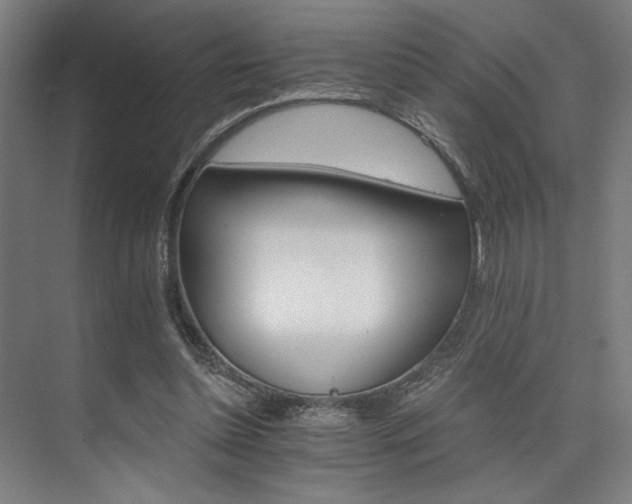 X0000074220348200608251135