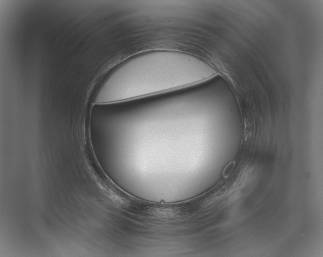 X0000074220349200608251135