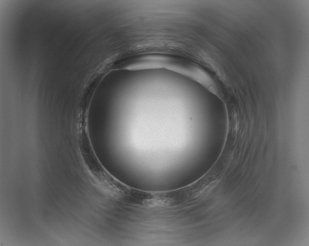 X0000074220356200608251135