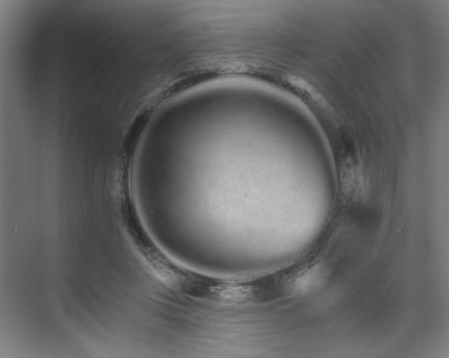 X0000074220359200608251135