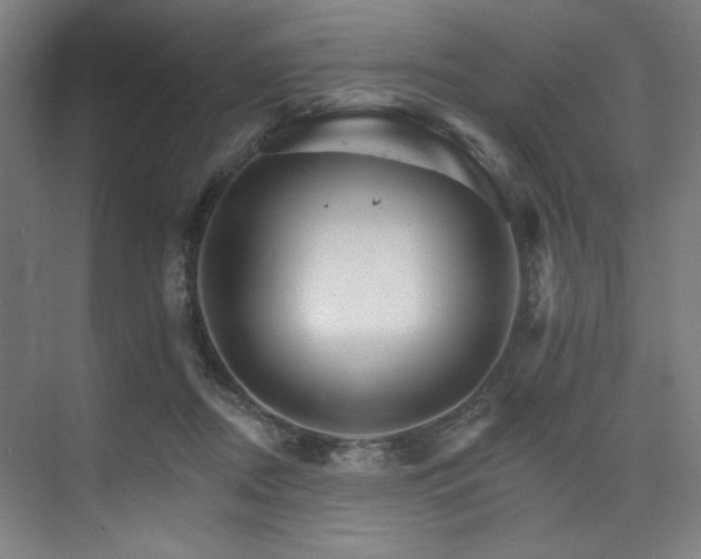 X0000074220362200608251135